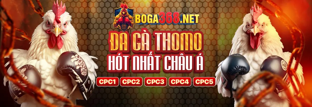 Hình ảnh minh họa tầm nhìn và sứ mệnh của pg888 code