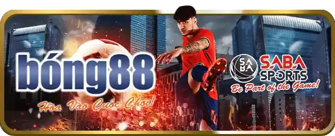Giao diện thân thiện và tốc độ nhanh